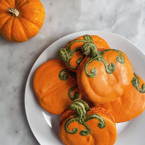 🎃 Pumpkin-shaped macarons with rich dark chocolate ganache? Yes, please! 🍫✨ 🍁These little autumn delights are the tastiest treat for the season! 🍂 Want to try them at home? Check out the full recipe at TheGourmandiseSchool.com [Recipe Page] 🎃 Pumpkin Macarons, Orange Food Coloring, Dark Chocolate Ganache, Recipe Page, Ground Ginger, Cream Of Tartar, Heavy Whipping Cream, Yes Please, Pumpkin Orange