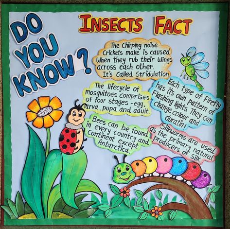 Insects Fact School Art, Art Teacher, I School, Bulletin Board, Art School, Art Work, Creative Art, Color Change, Insects