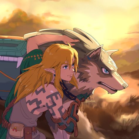 Link Totk, Wolf Link, Botw Zelda, Nintendo Characters, Link Zelda, Zelda Art, Legend Of Zelda Breath, Zelda Breath, Twilight Princess