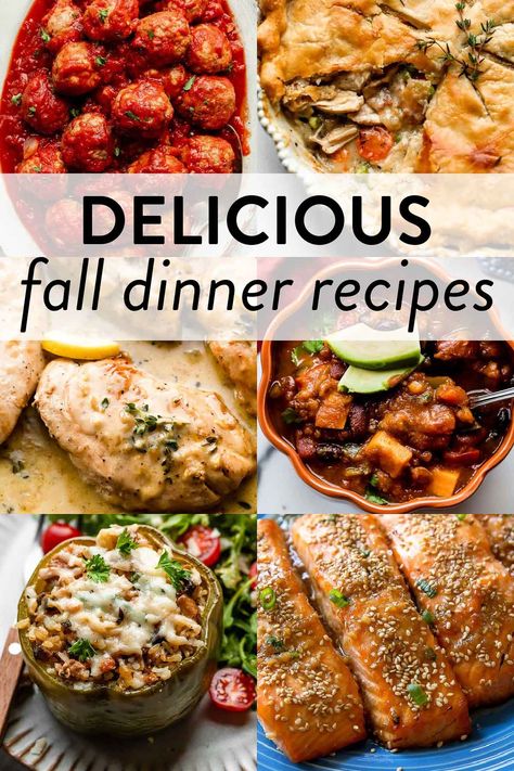 Vegetarian Pumpkin Chili, Mac And Cheese Recipes, Fall Dinner Ideas, Savory Butternut Squash, Squash Mac And Cheese, Creamy Chicken Noodle, Butternut Squash Mac, Baked Chicken Meatballs, Vegetable Pot Pies