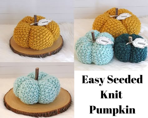 Easy Seeded Knit Pumpkin - Pink Plumeria Maui Pumpkin Easy, Halloween Knitting Patterns, Crocheted Pumpkins, Bulky Yarn Patterns, Pumpkin Patterns Free, Charity Knitting, Halloween Knitting, Fall Knitting Patterns, Pink Plumeria