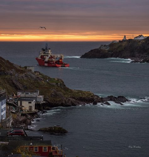 Canada on Instagram: “St. John’s, Newfoundland. Image by @raymackeyphotography #ImagesofCanada⁠” Newfoundland Aesthetic, St Johns Newfoundland, Newfoundland Canada, St Johns, Newfoundland, Travel Bucket List, Travel Bucket, Travel Aesthetic, St John