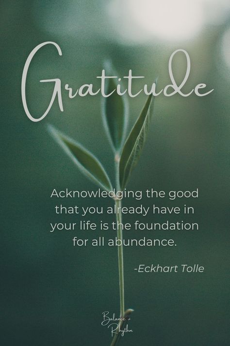 Gratitude Quotes Thankful, Eckhart Tolle Quotes, Grateful Quotes, Inspiration Quote, Blessed Quotes, Inspirational Quotes God, Van Dijk, Gratitude Quotes, Daily Inspiration Quotes