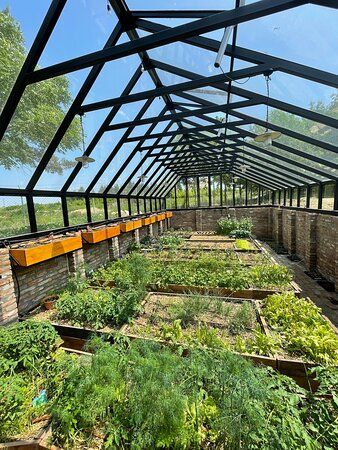 Walapini Greenhouse, Walipini Greenhouse, Geothermal Greenhouse, Coop Decor, Backyard Goals, Solar Greenhouse, Chicken Coop Decor, Diy Greenhouse Plans, Garden Inspo