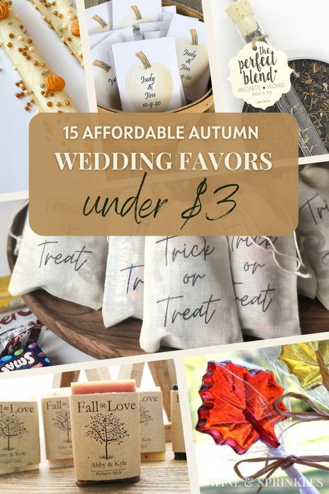 Affordable Fall Favors Under $3 for an Autumn Wedding October Wedding Favors, Fall Favors, Fall Party Favors, Fall Favor, Fall Brunch, Plant Party, Inexpensive Wedding Favors, Handmade Favors, Wedding Favors Fall