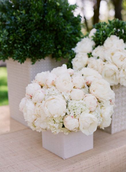 hydrangeas and white peonies | I hate hydrangeas but this arrangement is really pretty. Healdsburg Wedding, Wedding Flowers Peonies, Flowers Arrangements, White Peonies, White Hydrangea, Deco Floral, White Bouquet, Wedding Planners, Love Flowers