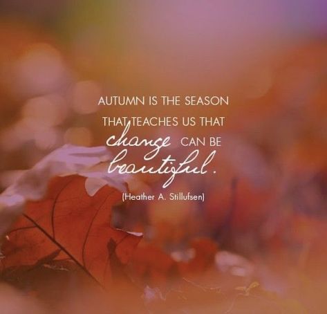 Change Can Be Beautiful, Season Quotes, Handlettering Quotes, Life Change, Autumn Quotes, Autumn Scenes, Autumn Scenery, Happy Fall Y'all, Fall Pictures