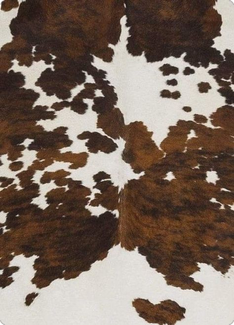 Animal Print Mood Board, Cow Hide Wallpaper, Posters Apartment, Cow Print Aesthetic, Cowgirl Core, Phone Makeover, Brown Cow Print, Cowhide Fabric, Fashion Show Poster