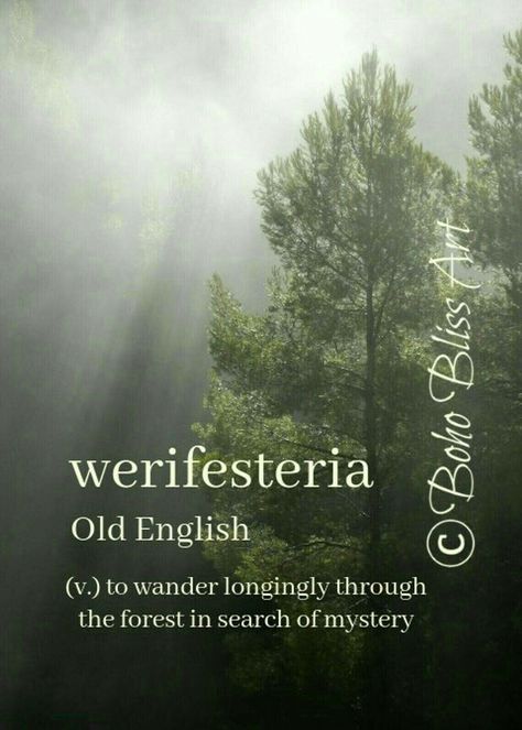 #werifesteria #words #universe #forest #mystery Citation Nature, Forest Gift, Inspirerende Ord, Unique Words Definitions, Fina Ord, Uncommon Words, Fancy Words, Weird Words, Unusual Words