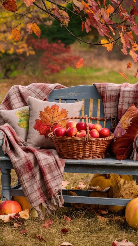 Make your Thanksgiving memorable with creative fall outdoor decor ideas. Set the perfect outdoor scene for family gatherings and festive celebrations. Fall Backgrounds Iphone, Autumn Magic, Autumn Scenes, Fall Outdoor Decor, Tapeta Pro Iphone, Autumn Scenery, Fall Outdoor, Autumn Beauty, Fall Pictures