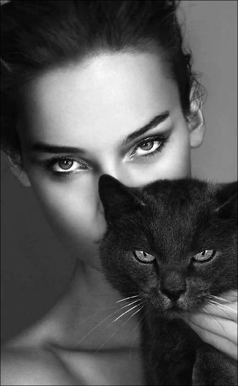 People And Animals, Cut Animals, Cat Cuddle, Cat Pose, Cat Photography, Cat People, Cat Portraits, 영감을 주는 캐릭터, Crazy Cat Lady