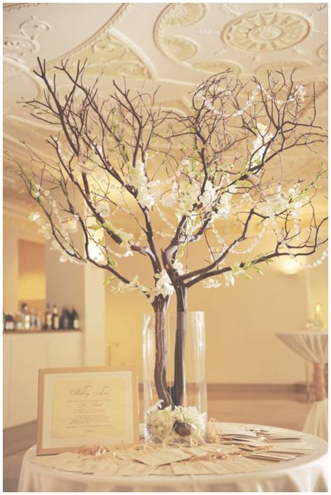 Centerpieces Wedding Branches, Tree Table Centerpieces, Branch Arrangements, Wedding Tree Decorations, Branch Centerpieces, Manzanita Tree, Photos Flowers, Ladies Club, Tree Centerpieces