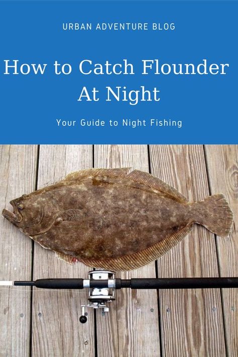 Planning to go night fishing for flounder and want a sure catch? Increase your chances of success and learn how to catch flounder at night! Fishing Traps, Fishing Hook Knots, Flounder Fishing, Chairs Diy, Trout Bait, Salt Water Fishing, Telescopic Fishing Rod, Salt Water Fish, Documentary Movies