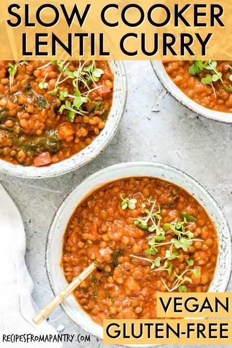 This Slow Cooker Lentil Curry is easy to make with minimal prep and a few pantry staples. It is packed full of Indian flavours the family will love. This affrodable Crock Pot Lentil curry is perfect for Meatless Monday, meal prep, dinners, freezer friendly and lunchboxes and can be doubled to feed a crowd. and suitable for vegans and vegetarians. Click through to grab this Creamy Coconut Lentil Curry recipe ✨ #lentilcurry #vegancurry #veganrecipe #slowcooker #crockpot #lentils #indian Crockpot Indian Recipes, Lentil Recipes Crockpot, Slow Cooker Lentil Curry, Vegan Lentil Curry, Lentil Recipes Indian, Indian Lentil Soup, Coconut Lentil Curry, Lentil Curry Recipes, Slow Cooker Curry