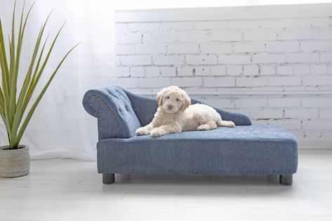 La-Z-Boy Solana Chaise Furniture Dog Sofa Bed | Wayfair Dog Chair Furniture, Chaise Lounge Dog Bed, Human Furniture, Doggie Beds, Stylish Dog Beds, Chesterfield Style Sofa, Bedroom Nook, Elevated Dog Bed, Pet Sofa Bed