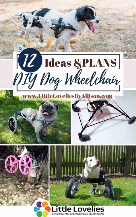 Dog Broken Leg, Diy Dog Wheelchair, Puppy Diy, Dog Wheelchair, Disabled Dog, Elderly Dogs, Dog Leg, A Vet, Diy Dog