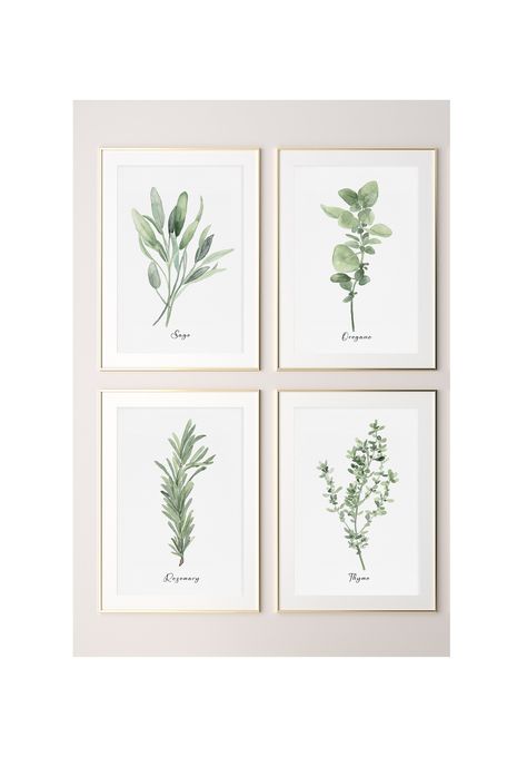 This set of 4 watercolor art prints depicting rosemary, oregano, thyme and sage belongs to my latest collection of kitchen herbs I painted in early 2022. These minimalist plants in muted sage green will perfectly correspond with walls painted in earthy colors. They will be ideal for creating a cosy and welcoming kitchen or dining room, especially in a modern farmhouse. As these prints are available in large American and European poster sizes, they will be suitable for restaurants and hotels as w Herbs Watercolor Paintings, Sage Green Kitchen Dining Room, Kitchen Decor Artwork, Kitchen Art Work Ideas Wall Decor, Kitchen Wall Prints Modern, Watercolor Art For Kitchen, Plant Watercolor Art, Prints For Kitchen Wall Art, Sage Green Dining Room Ideas