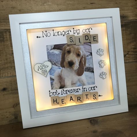 Shadow Box Ideas Dog Pet Memorials, Shadowbox Ideas Memorial Dog, Pet Shadow Box Ideas, Pet Memory Ideas, Shadow Box For Dog Pet Memorials, Memorial Frame Ideas, Dog Shadow Box Pet Memorials, Dog Memorial Shadow Box Ideas, Dog Memorial Ideas