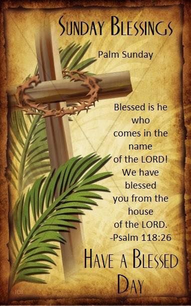 Palm Sunday Quotes Jesus, Palm Sunday Background, Sunday Background, Palm Sunday Quotes, Happy Resurrection Sunday, Sunday Video, Happy Palm Sunday, Sunday Prayer, Sunday Pictures