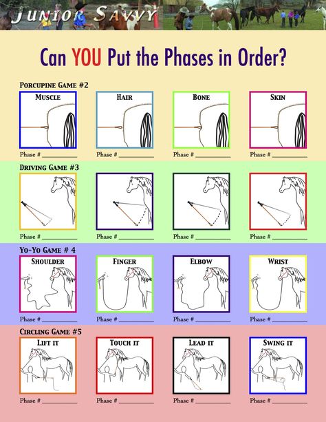 Parelli Junior Savvy - "Can You..."#1 - Can You Put the Phases in Order?   www.miniparelli.com Parelli 7 Games, Parelli Natural Horsemanship, Horse Basics, Therapeutic Horseback Riding, Dressage Videos, Natural Horsemanship Training, Horse Training Exercises, Inspirational Horse Quotes, Horse Information