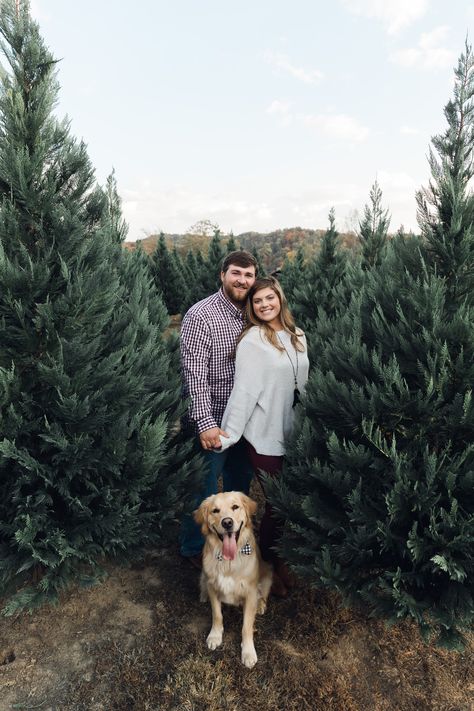 Christmas Tree Farm Engagement Session #ChristmasTreeFarm #EngagementPictures #Tennessee #GoldenRetriever Couple Christmas Cards With Dog, Christmas Farm Couple Pictures, Couple Photography Poses Christmas Tree, Christmas Tree Farm Family Photos With Dogs, Tree Farm Photo Shoot With Dog, Christmas Tree Farm Photo Shoot Outfits Couple, Christmas Tree Farm Mini Session Couple, Wreath Christmas Photoshoot, Tree Farm Couple Photos Outfit