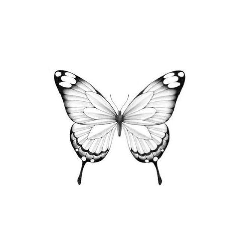 Dotwork Butterfly Tattoo, Fine Line Butterfly Tattoo Design, Butterfly Tattoo Outline, Butterfly Flash, Butterflies Simple, Tattoo Stencil Designs, Borboleta Tattoo, Butterfly Tattoo Stencil, Army Tattoos