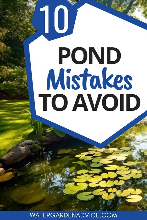 pond building mistakes Garden Ponds Ideas, Pond Building, Ponds Ideas, Fish Ponds Backyard, Small Backyard Ponds, Diy Ponds Backyard, Small Water Gardens, Indoor Pond, Pond Construction