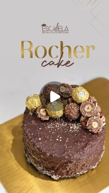 Escuela Chocolate y Pastelería on Instagram: "Rocher Cake 🤩🌟🤎  Necesitas:  • una receta de nuestra torta de chocolate (receta en un reel anterior, torta de Matilda)  • manteca de cacao 50 gr • chocolate al 43% @cordillerachocolates 150 gr  • crema de avellana de @cordillerachocolates 150 gr  • avellanas tostadas 80 gr • avellana tostadas y ferrero rocher para decorar   🌟Está idea es perfecta para realizar muchas variaciones en tu portafolio de productos con las bases que ya tienes de tus tortas.  ¿Te gusto la receta?  ¡Déjame saberlo en los comentarios!   ⬇️⬇️⬇️" Rocher Cake, Ferrero Rocher Cake, Ferrero Rocher, Matilda, Cake, On Instagram, Instagram