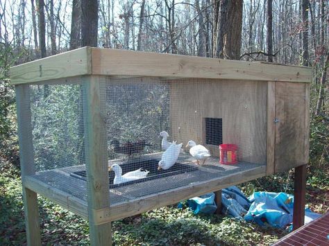 duck house--Perfect for small ducklings before they move out to the big pen! Mobile Duck Coop, Call Duck Pen, Rainy Washington, Call Ducks, Duck House Plans, Call Duck, Duck Pen, Duck Houses, Duck Pens