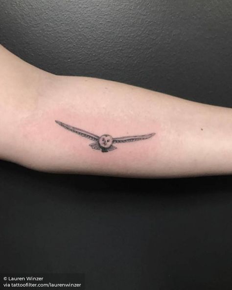 Flying barn owl tattoo Owl In Flight Tattoo, Small Owl Tattoo, Owl Tattoo For Women, Snowy Owl Tattoo, Flight Tattoo, Hedwig Tattoo, Owl Tattoo Meaning, Barn Owl Tattoo, Realistic Owl Tattoo