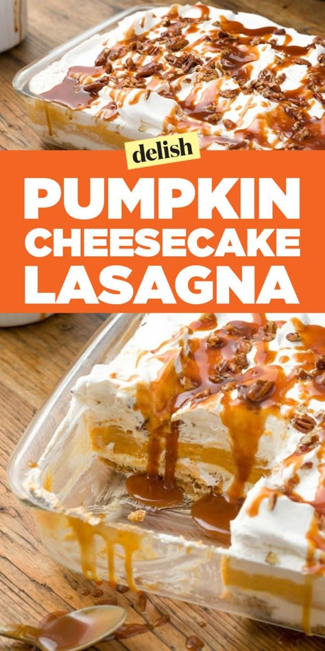 Pumpkin Cheesecake Lasagna, Cheesecake Lasagna, Dessert Lasagna, Pumpkin Lasagna, Pumpkin Cheesecake Recipes, Pumpkin Desserts, Pumpkin Recipes Dessert, Everything Pumpkin, Fall Foods