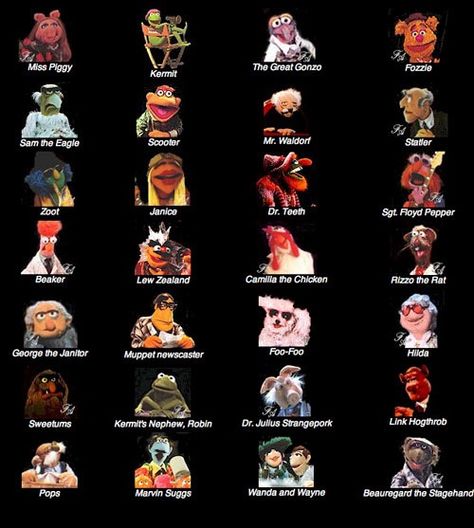 Muppets Muppet Show Characters, Muppets Characters, Muppet Characters, The Muppets Characters, Dr Teeth, Secondary Characters, Electric Mayhem, Local Pizza, Fraggle Rock