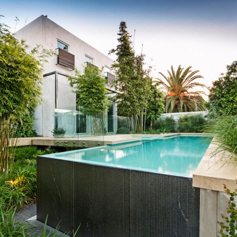 Infinity Pool, Albert Park - Neptune Pools Infinity Pool Backyard, Spanish Backyard, Fence Around Pool, Swimming Pool Landscaping, Albert Park, Pool Fence, Pool And Spa, Lap Pool, Beautiful Pools