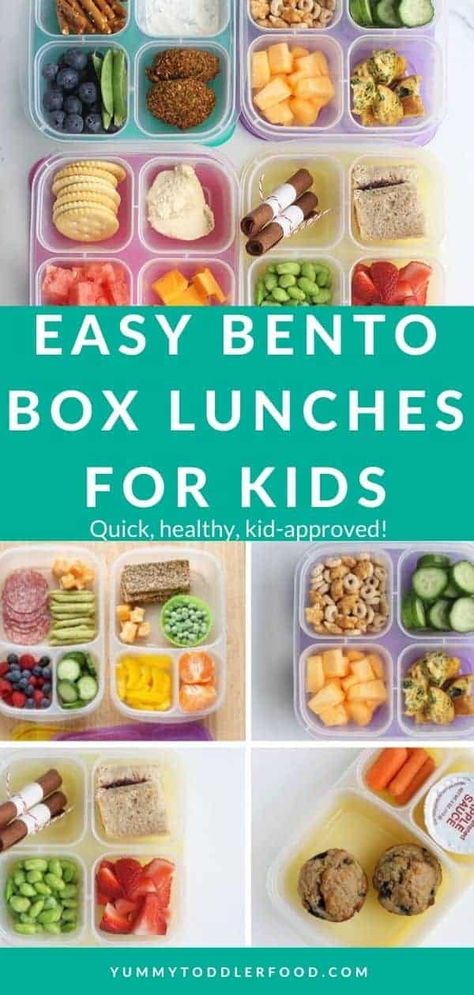 Make it easier to pack lunch for daycare, preschool, and school with easy bento lunch box ideas even picky kids will enjoy! #bentobox #bentolunchbox #kidslunch #toddlerlunch Bento Box Kids Lunch, Lunch For Daycare, Lunch For Kids School, Toddler Lunch Box Ideas, Easy Bento Lunch, Bento Lunch Box Ideas, Easy Bento, Kids Lunch Box Meals, Toddler Lunch Box