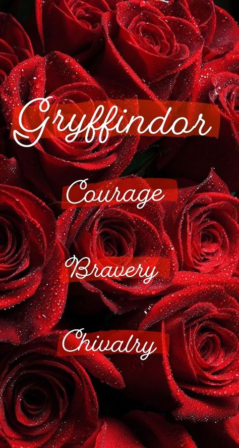 Gryffindor Pride, Brave, Harry Potter, Movie Posters, Film Posters