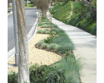 urban landscape parkway - Google Search Sidewalk Landscaping, Diy Landscape, Landscape Gardening, Drought Tolerant Garden, Drought Tolerant Landscape, Modern Landscape Design, Front Landscaping, Landscape Landscape, Landscape Plans