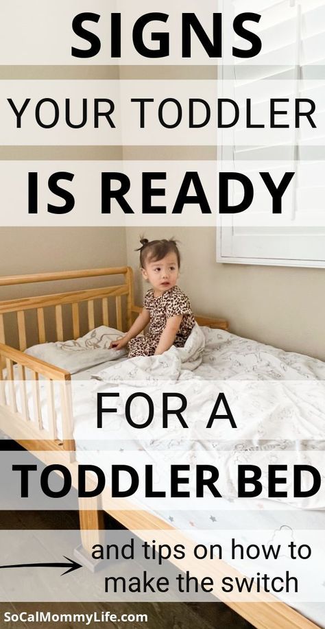 Making the switch from crib to toddler bed can be an exciting milestone for both parents and children. Here are 8 signs your child is ready to make the move. From being able to climb in and out of bed independently, to showing an interest in sleeping in a "big kid's" bed, these clues will let you know that it might be time to invest in a toddler bed. Small Toddler Rooms, Toddler Room Ideas Girl, Nursery To Toddler Room, Floor Bed Toddler, Toddler And Baby Room, Toddler Bed Girl, Diy Toddler Bed, Toddler Bed Boy, Crib To Toddler Bed