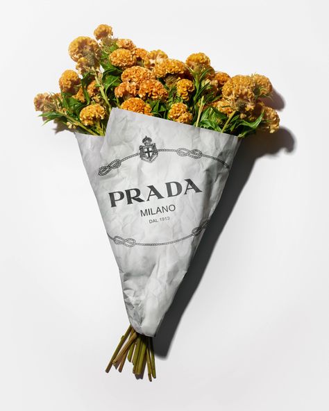 Prada on Instagram: “Interested in the here and now. The #PradaResort20 campaign debuts on flower shop bouquets around the world. Pick one up, or discover more…” Italian Home, How To Wrap Flowers, January 22, Pretty Plants, London Design, Bunch Of Flowers, Design Museum, Flowers Nature, Flower Fashion