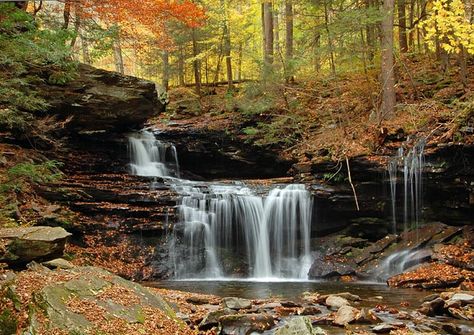 6 Reasons Why Fall in the Suburbs is the Best | The Odyssey Ricketts Glen, There And Back Again, Time Well Spent, Tent Site, The Suburbs, Sun Goes Down, City Limits, Dark Skies, Day Hike