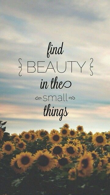 Love this quote Wallpaper Tumblr, The Small Things, Wallpaper Iphone Quotes, Tumblr Wallpaper, Beauty Quotes, Find Beauty, Small Things, A Quote, Cute Quotes