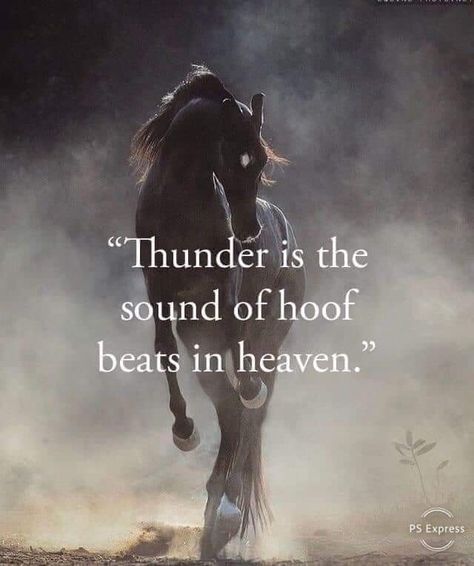 Horse People Quotes, Best Horse Quotes, Horse Riding Quotes Motivation, Horses Quotes Inspirational, Horse Quotes Meaningful Short, Short Horse Quotes, Horse Lover Quotes, Pics Of Horses, Horse Quotes Meaningful