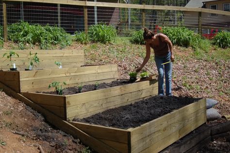 For our raised bed?  Use stepping stones to reach the center. Square foot gardening.                                                                                                                                                                                 Mehr Landscaping On A Hill, Hillside Garden, Sloped Backyard, Garden On A Hill, Sloped Garden, Garden Types, Have Inspiration, Garden Boxes, Terrace Garden