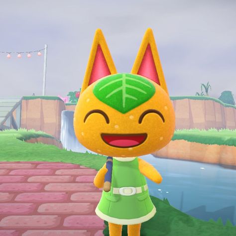 Tangy Animal Crossing, Animal Crossing Cats, Nap Pillow, Animal Crossing Characters, Animal Crossing Villagers, Character Collection, Tangier, Cute Cosplay, Orange Cat