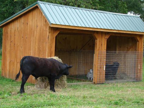 log cow shelters | This is a well constructed, economical choice for sheltering mid to ... Cow House Farms, Diy Cow Shelter, Cow Shelter Ideas, Cow Pen Ideas, Mini Cow Barn, Cattle Shelter, Cow Shelter, Goat Shelters, Mini Highland Cow