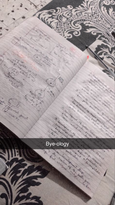 Maths Snap Streaks, Asthetic Snaps Streaks Ideas, Study Snap Streak, A Study Motivation, Studying Snaps, Snaps Pics, Study Snap, Study Snaps, Study Snaps Ideas