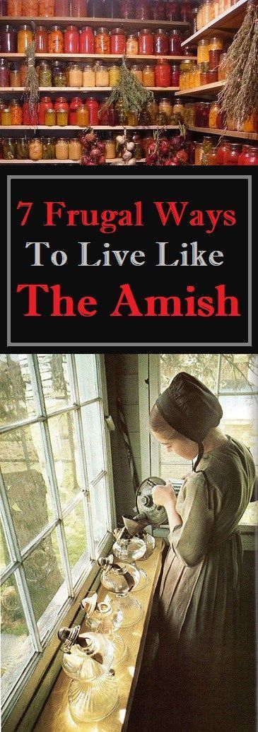 #frugal #amish Amish Living, Daisy Cottage, Homesteading Skills, Amish Recipes, Homestead Survival, Emergency Prepping, Time Life, Frugal Living Tips, Frugal Tips