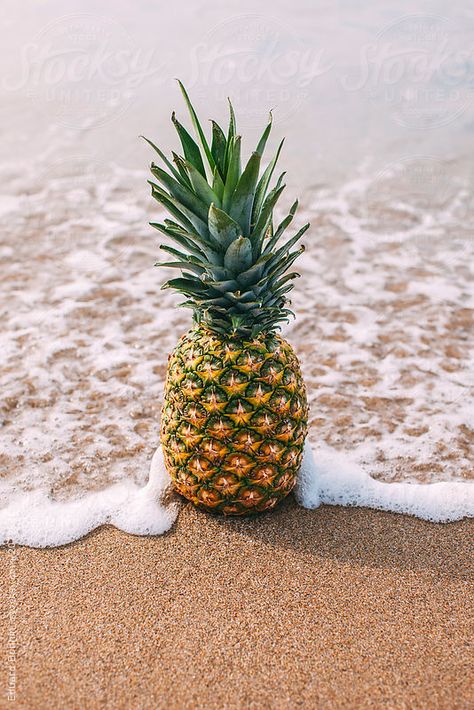 Pineapple on the beach. Summer time by Eduard Bonnin #stocksy #realstock Pineapple Wallpaper, Summer Backgrounds, Summer Bucket Lists, صور مضحكة, Summer Wallpaper, Tropical Vibes, Happy Weekend, Iphone Background, Belle Photo