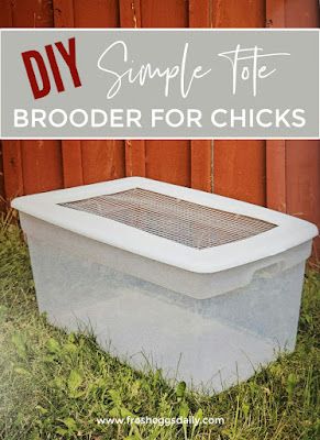 Plastic Tote Chicken Brooder, Diy Brooder Box Ideas, Brooder Box Ideas, Diy Chick Brooder, Chicken Keeping Hacks, Chick Brooder, Herbs For Chickens, Brooder Box, Chicken Brooder