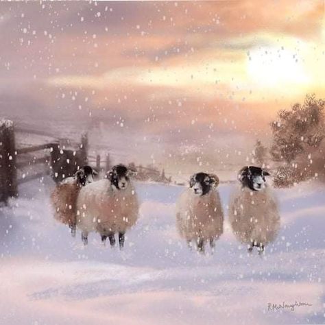 Sheep Digital Art, Christmas Card Artwork, Flock Of Sheep, Sheep Paintings, Charity Christmas Cards, Sheep Art, Woodland Art, Winter Illustration, Painting Snow