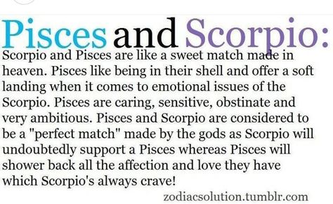 I once dated a Scorpio...very true Scorpio Male Pisces Female, Pices Zodiac Facts Relationship, Scorpio And Piceses Relationship, Pisces Man Scorpio Woman, Scorpio And Pisces Conversations, Scorpio X Pisces, Pisces X Scorpio, Pisces Woman Scorpio Man, Scorpio And Pisces Relationship